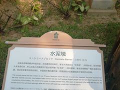 -开平碉楼文化旅游区马降龙景区
