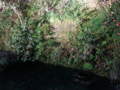 -十八棵（老龙井）御茶园(老龙井店)