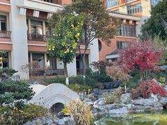 -嘉兴清池酒店温泉