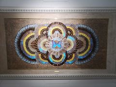 -上海昆虫博物馆