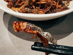 -燕春楼(海河华鼎店)