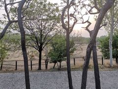 -北京麋鹿生态实验中心