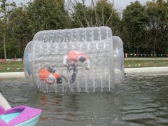 -上海海湾国家森林公园