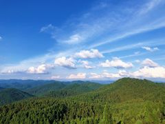 -武陵山森林公园