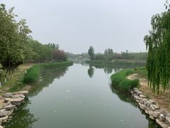 -大兴滨河森林公园