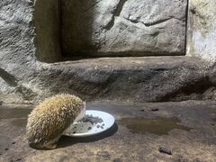 -青青世界