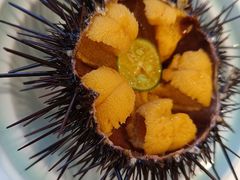 海胆-品海楼·大连海鲜(老虎滩店)