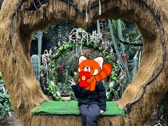 -呀路古热带植物园