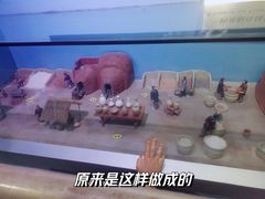 -河南自然博物馆