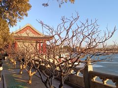 -颐和园