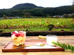 多吃多漂亮水果酸奶-比顿咖啡(和顺古镇店)