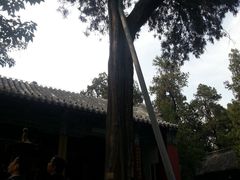 -南阳卧龙岗武侯祠