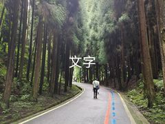 -太阳湾风景区