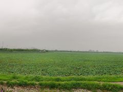 -天津东丽湖风景区