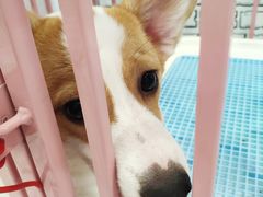 -白夜2D咖啡馆