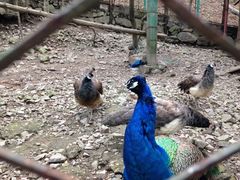 iphone_upload_pic-藏龙百瀑风景区