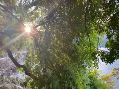 -抚仙湖禄充风景区