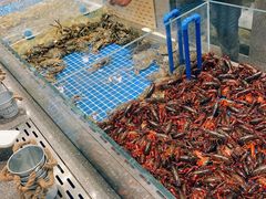 -半岛听涛蒸汽海鲜自助(K11店)