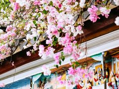 -深圳国际园林花卉博览园