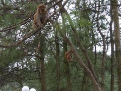 -重庆雨台山风景区