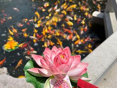 -下海庙