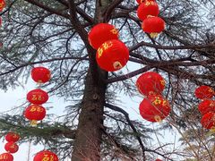 -习家池