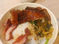 -辉旺烧鹅茶餐厅