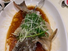 -南海渔村(珠江新城店)