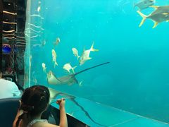 -瑞德姆美人鱼海底演艺主题餐厅(亚龙湾店)