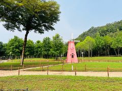 -顺峰山公园