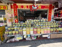 -大湾区中央湿地公园-十九涌