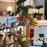 上海探店｜这一碗秃黄油面千万不要错过