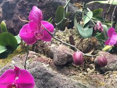 -南通洲际绿博园