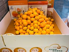 武当蜜桔-丹江渔村(望京店)