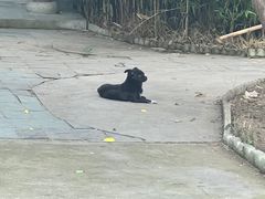 -盛唐庄园