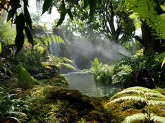 -Chom Cafe and Restaurant