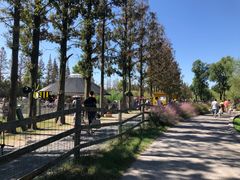 -前小桔亲子创意农场·草莓采摘·露营烧烤