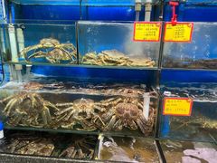 -蚝专家(北滘店)