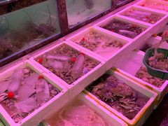 水产区-长平肥姐白粥·海鲜打冷