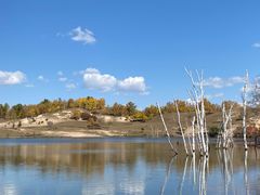 -塞罕坝国家级自然保护区
