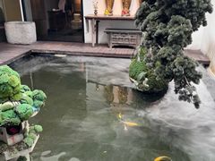 -觀芷隐轩