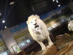 -陕西自然博物馆