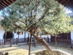 -水绘园