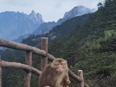 -九华山风景区
