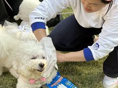 -上海神旺大酒店