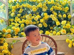 -HERRE·FARM 赫尔露营农场·团建聚会包场