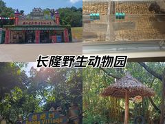 -广州长隆野生动物世界