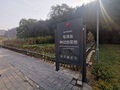 -延安杨家岭革命旧址