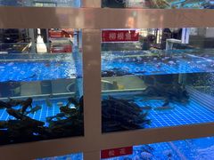 -石锅苗苗鱼(武汉首店)