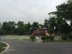 陈行公园-陈行公园
